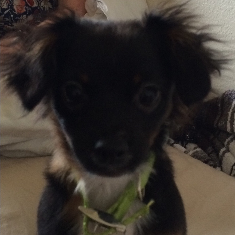 Meet your Posher, Tammy